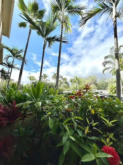 Apartment Amazing Condo Peaks Of Ocean View On Ali'I Dr By Surf Spots Kailua-Kona United States