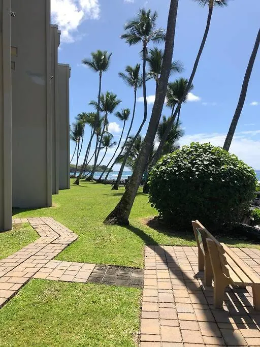 Amazing Condo Peaks Of Ocean View On Ali'I Dr By Surf Spots Kailua-Kona 0*,